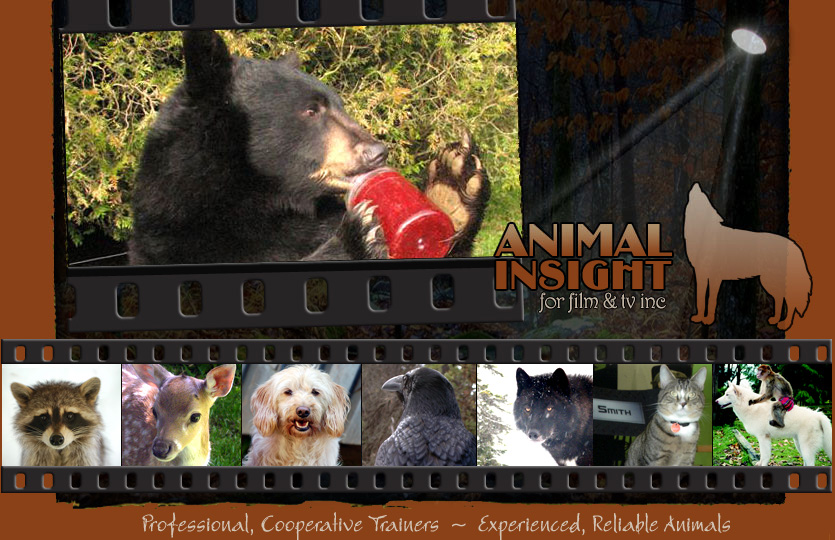 Animal Talent for Film and TV