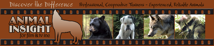 Animal Insight Wild and Domestic Animals for Film, TV and Commercials