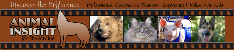 Wild and Domestic Animals for Film and TV