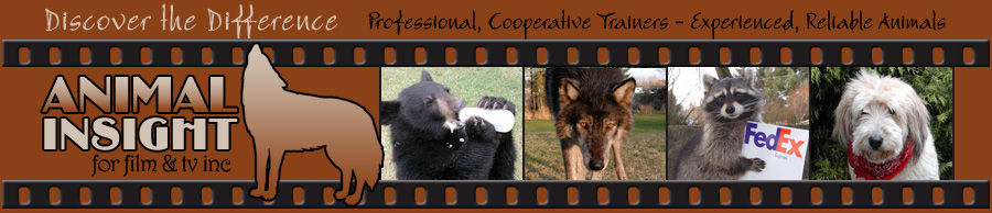 Wild and Domestic Animals for Film and TV